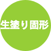 生塗り固形